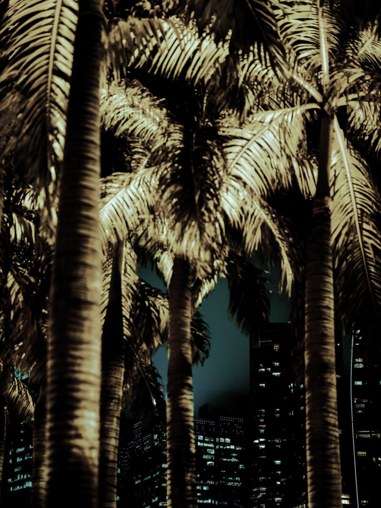 Peter Steinheisser fotografiert Singapur