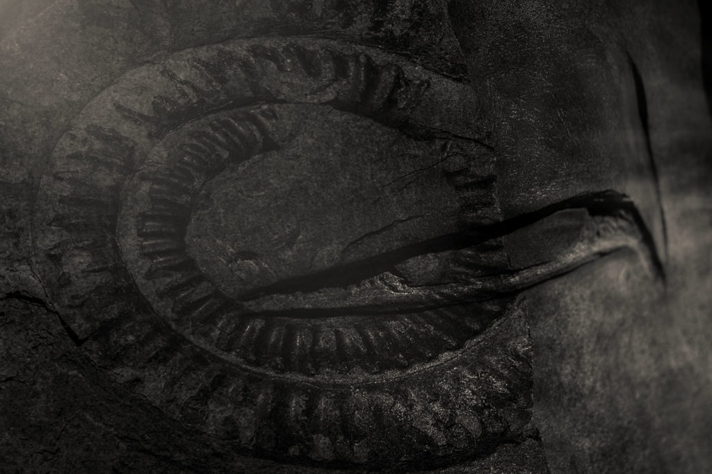 Peter Steinheisser fotografiert den Bildband "At the Mountains of Madness"